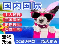 启阳机场物流国际宠物托运 【国